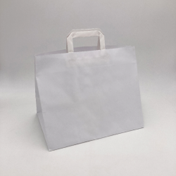 Shopping bag personalizzata Box 26x17x25 CM | SHOPPING BAG BOX | STAMPA FLEXO IN DUE COLORI SU AREE PREDEFINITA SU ENTRAMBI I...