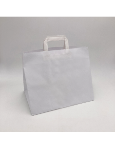 Shopping bag personalizzata Box 26x17x25 CM | SHOPPING BAG BOX | STAMPA FLEXO IN UN COLORI SU AREE PREDEFINITA SU ENTRAMBI I ...