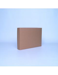 Customized Personalized foldable box Campana 37x26x6 CM | CAMPANA | SCREEN PRINTING ON ONE SIDE IN ONE COLOUR